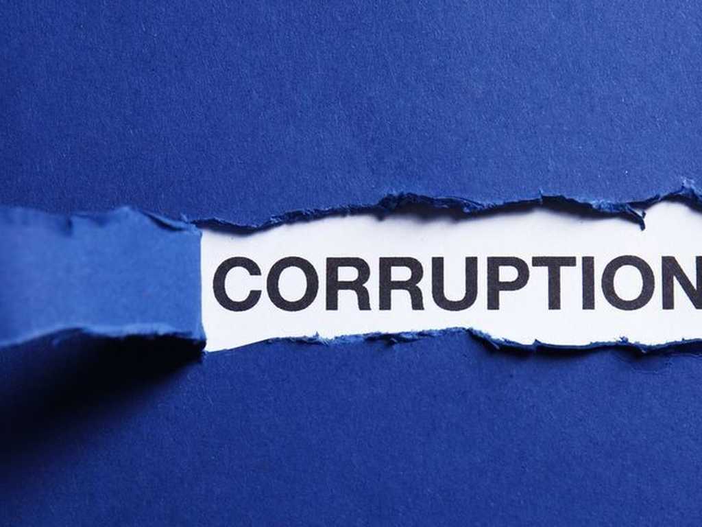 Search image article