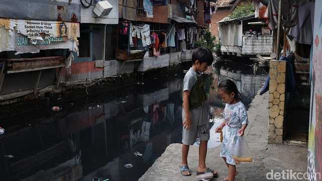 Search image article