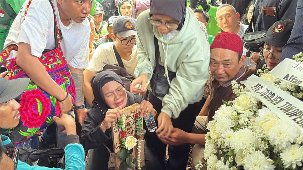 Search image article