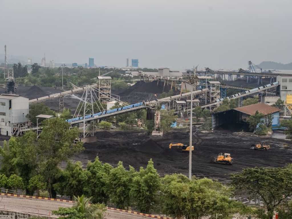 Search image article