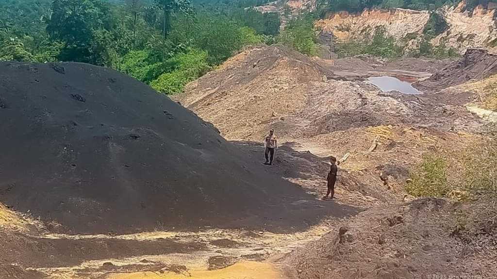 Search image article