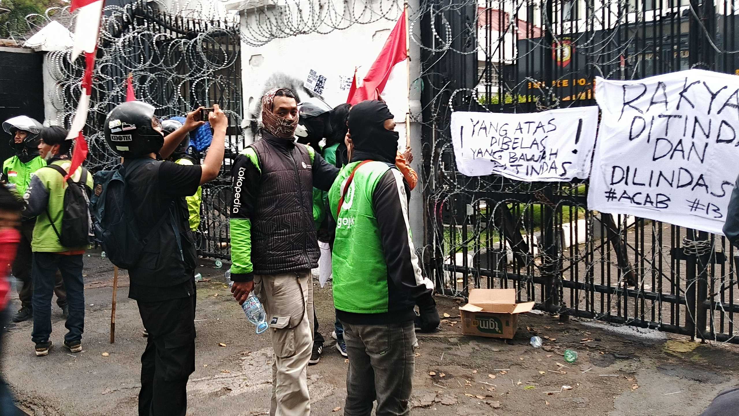 Search image article