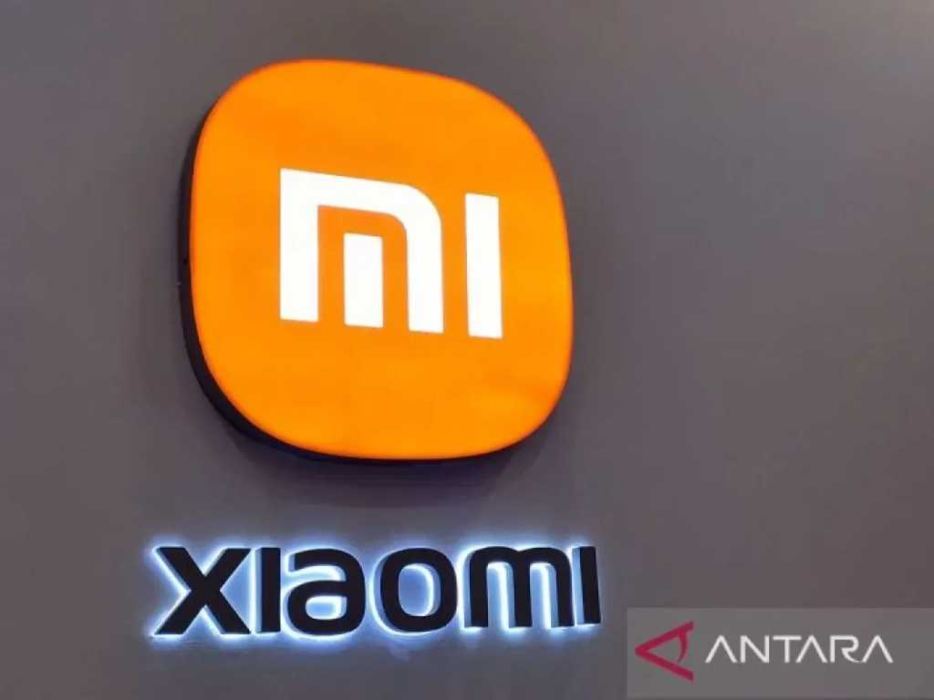 Search image article