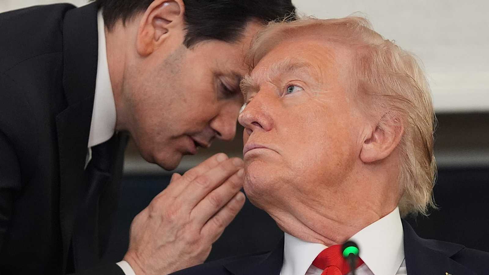 Search image article