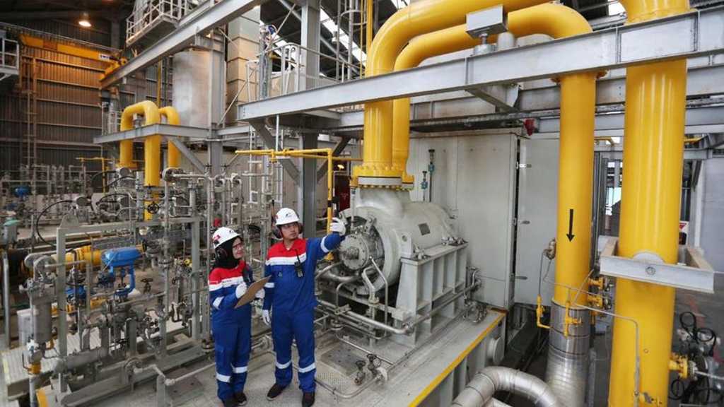 Search image article