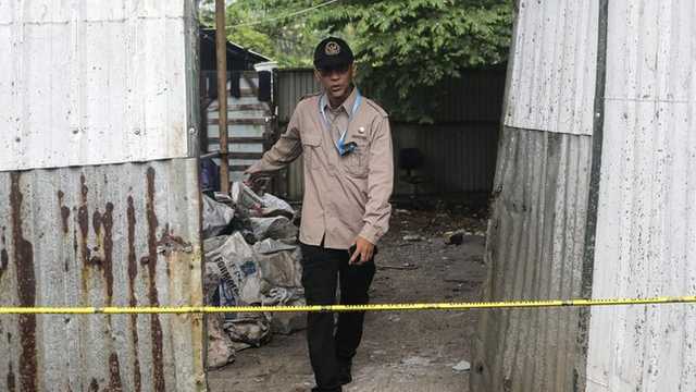 Search image article