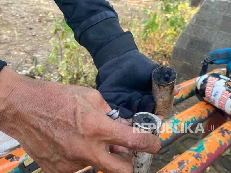 Search image article