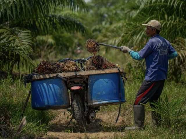 Search image article