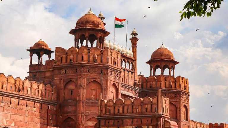 Search image article