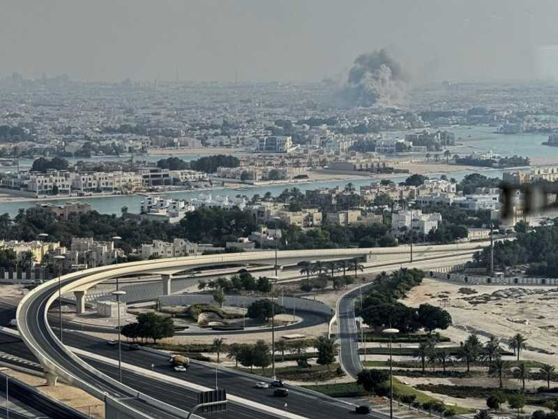 Search image article