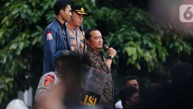 Search image article