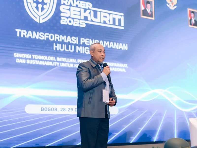 Search image article