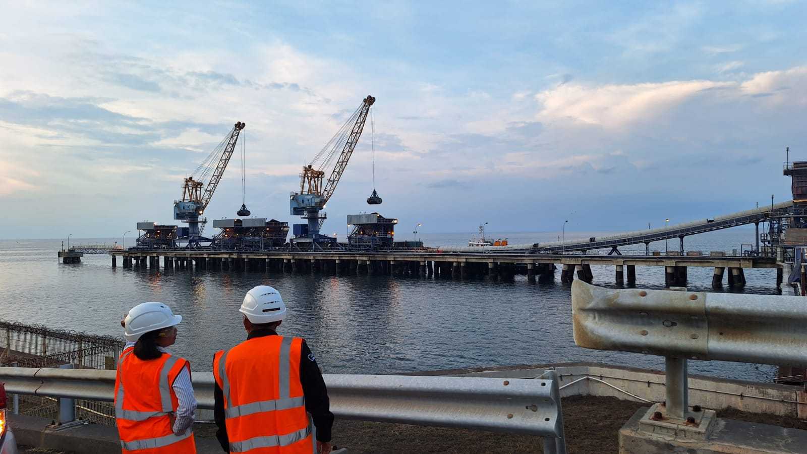 Search image article