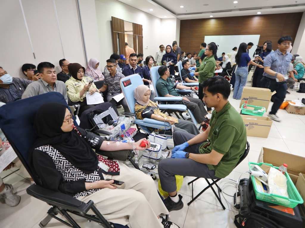 Search image article