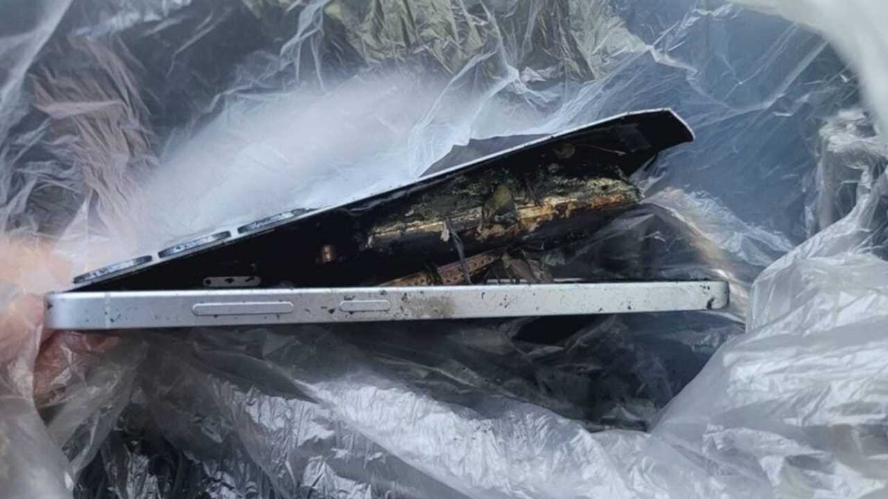 Search image article