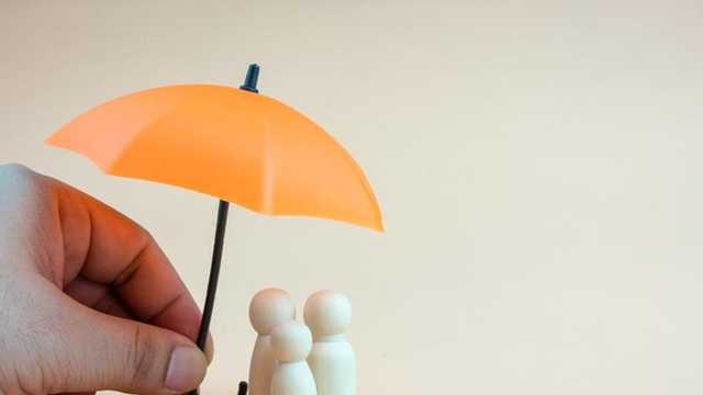 Search image article