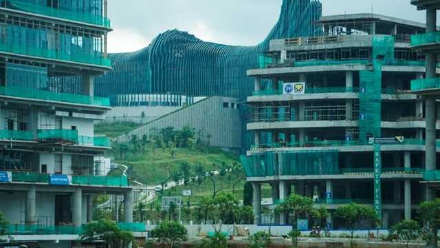 Search image article