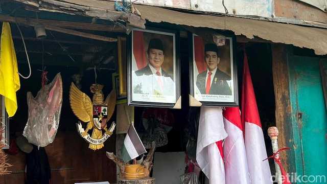 Search image article