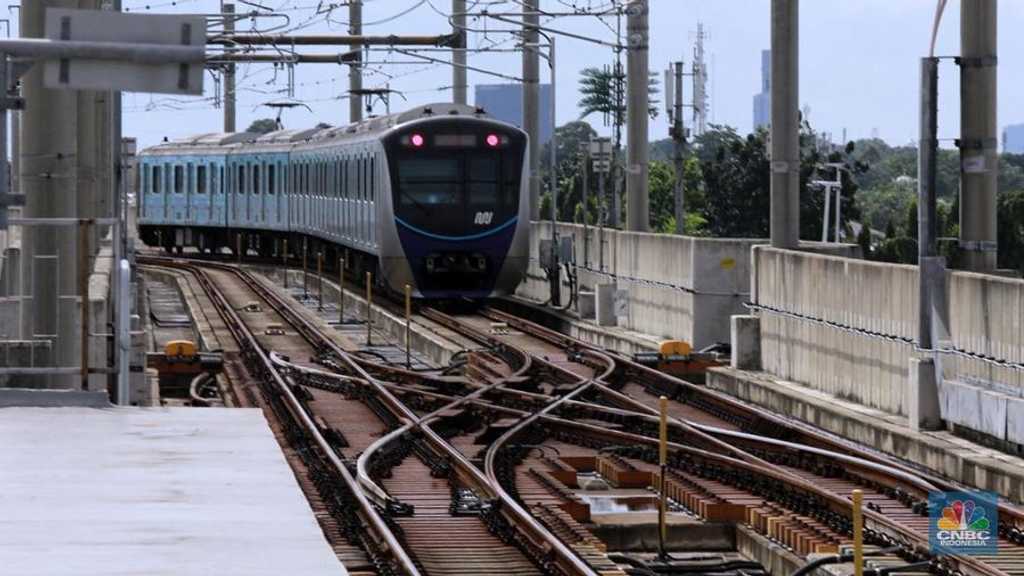 Search image article