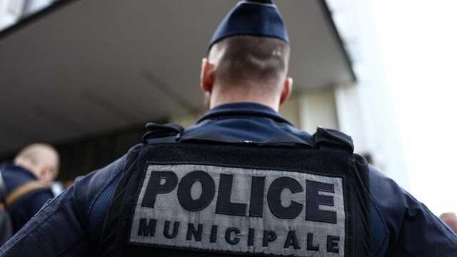 Search image article