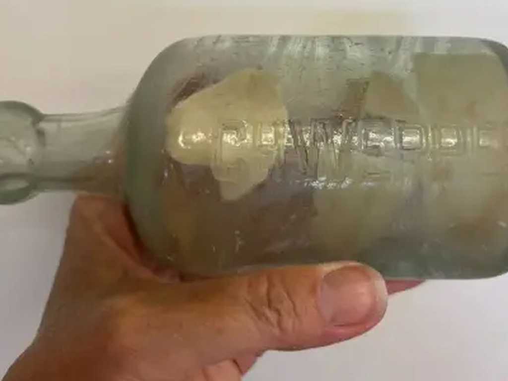 Search image article