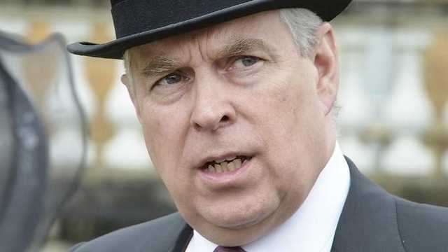 Search image article