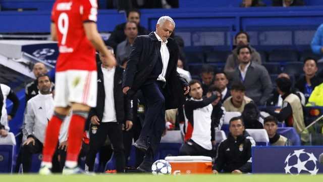 Search image article