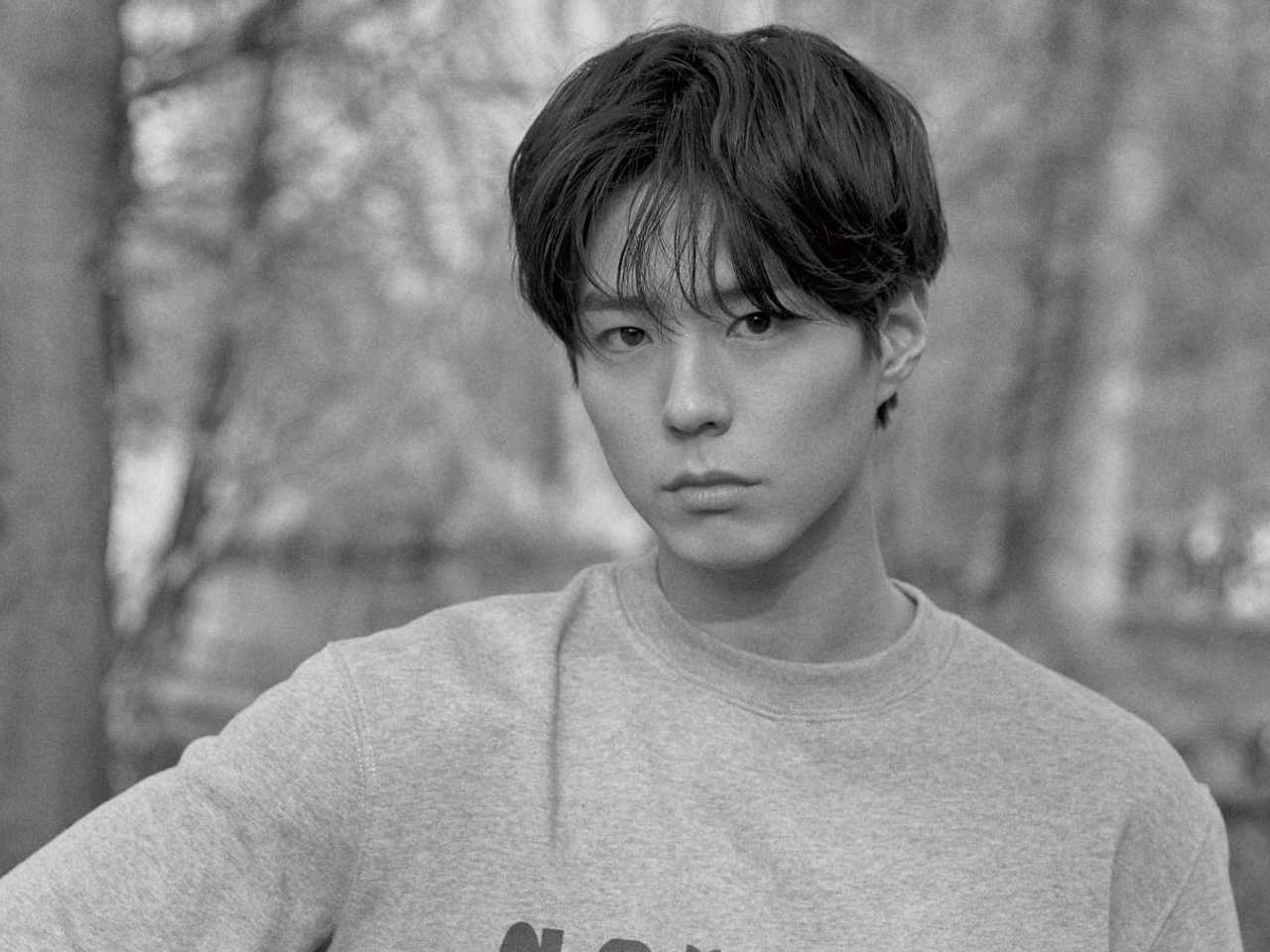 Search image article