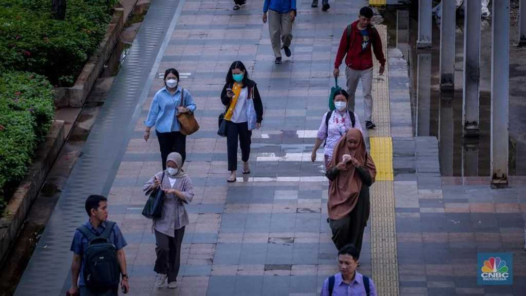 Search image article