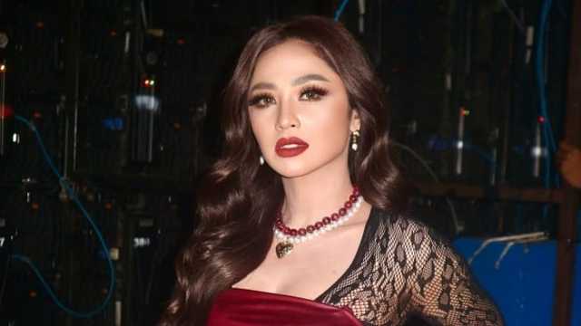 Dewi Perssik Selamatkan Kucing Eko Patrio yang Hilang Usai Rumah Dijarah Massa