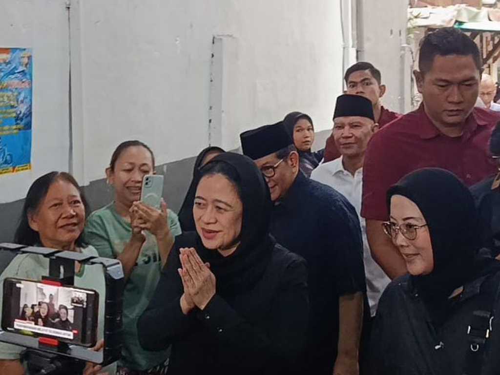 Search image article