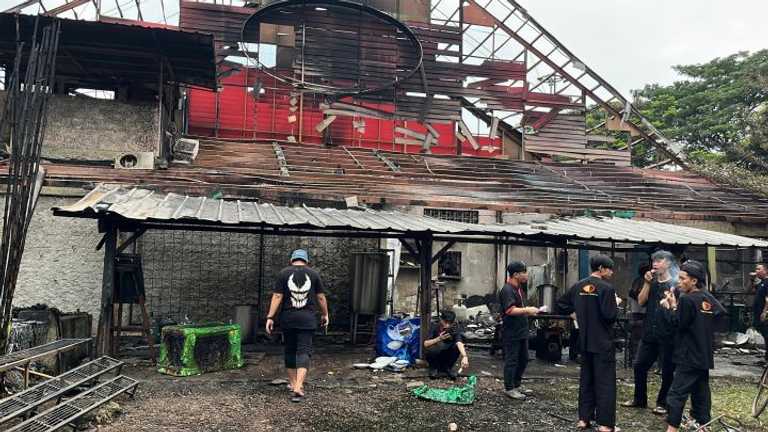 Search image article