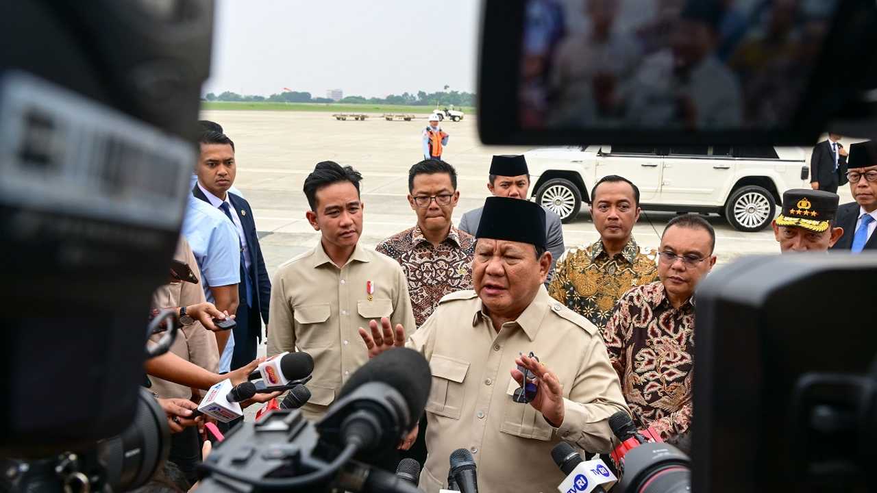 Search image article