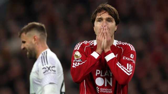 Search image article