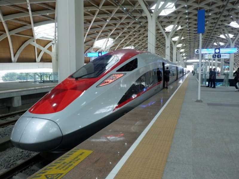 Search image article