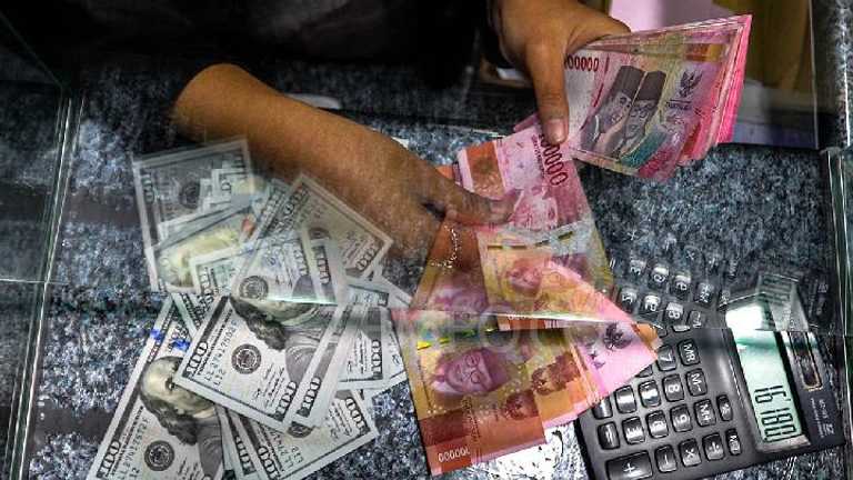 Search image article