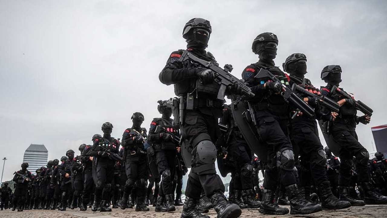 Search image article