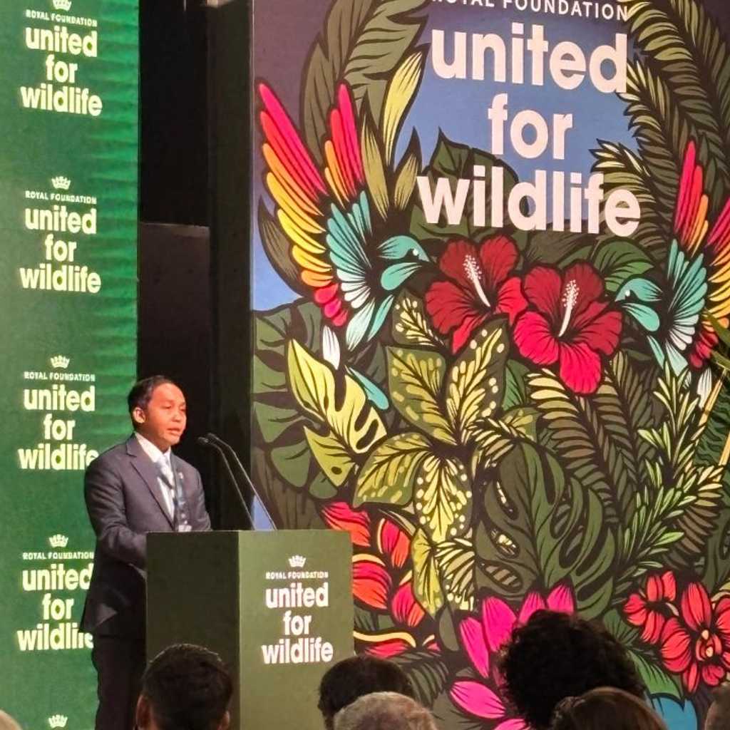 Search image article