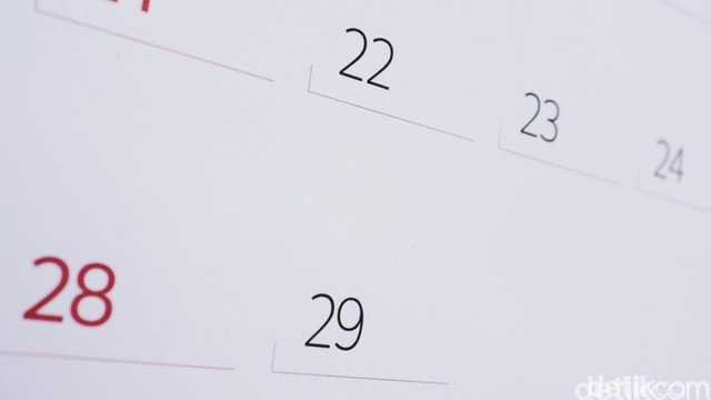 Search image article