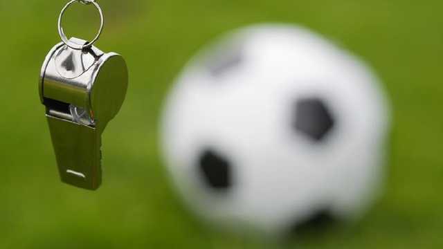 Search image article