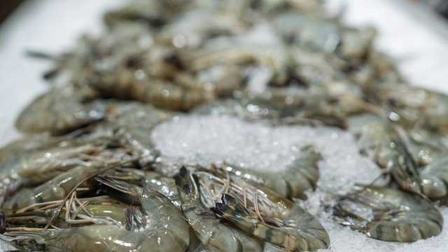 Search image article