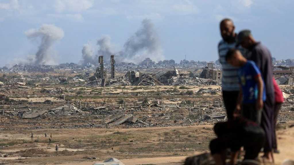 Search image article