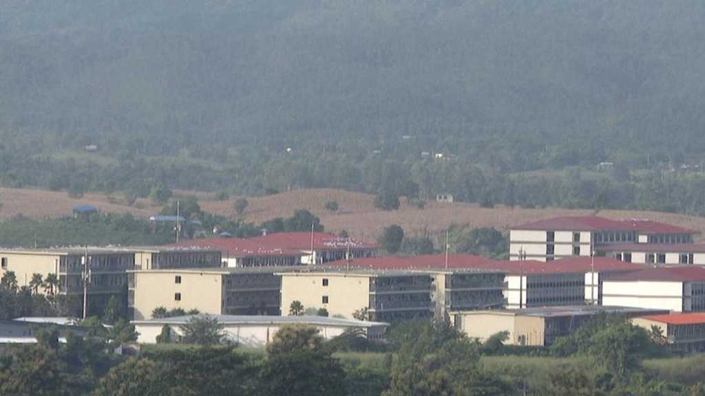 Search image article