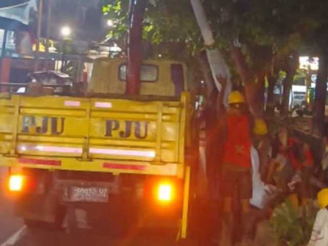 Search image article