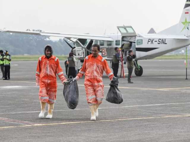 Search image article