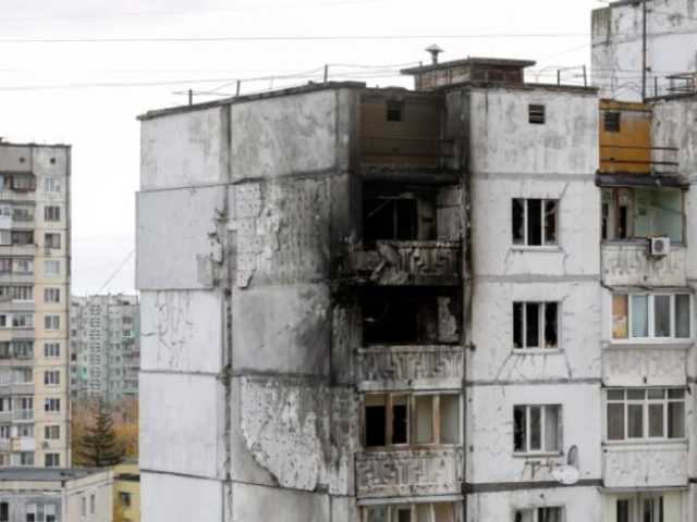 Search image article