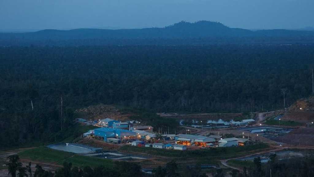 Search image article