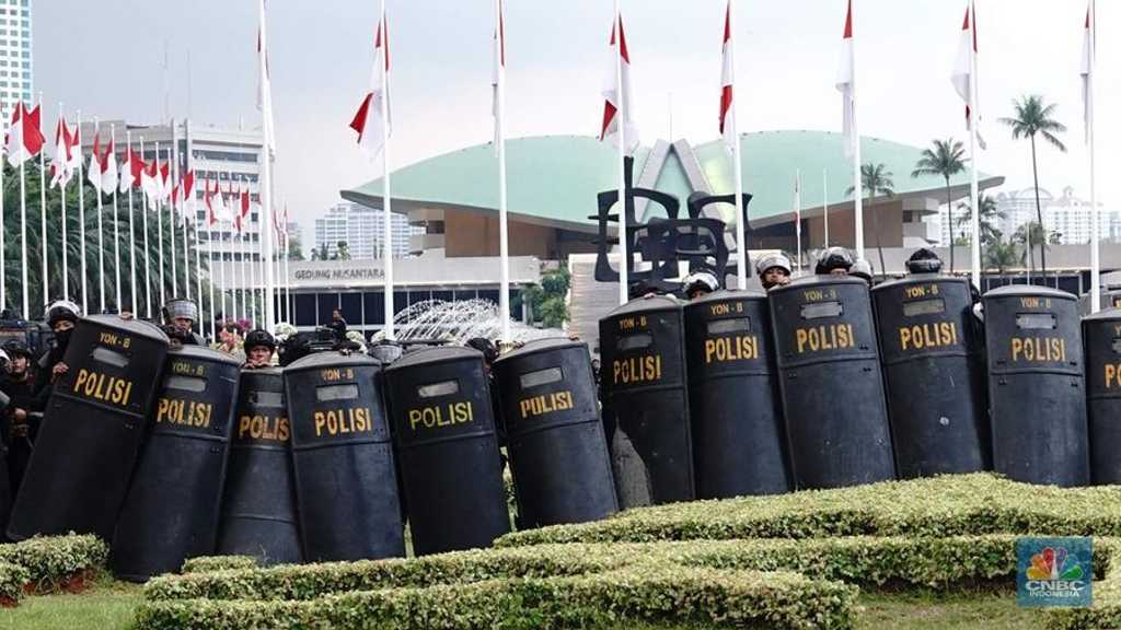 Search image article