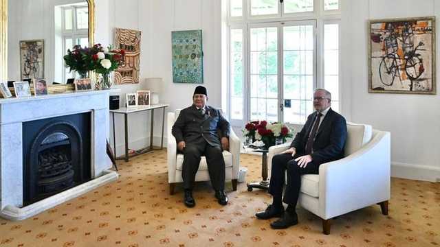 Search image article