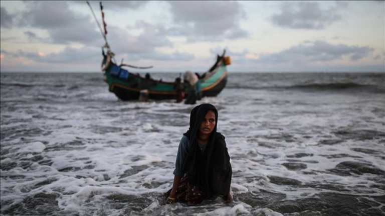 Search image article